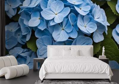 Close-up of blue hydrangea flowers with rich colors in high definition photography
 Wall mural