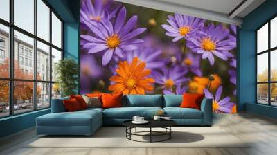 Vibrant close-up of blooming wildflowers with glowing petals in natural sunlight in a botanical garden
 Wall mural