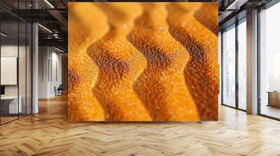 texture and pattern in orange sand Wall mural