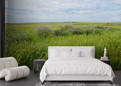 Prairie wildflowers in Saskatchewan Canada 2 Wall mural