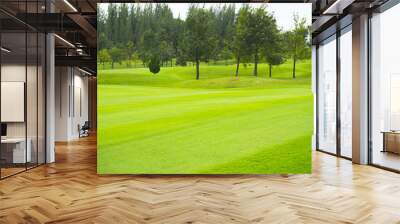 beautiful green grass of golf course Wall mural