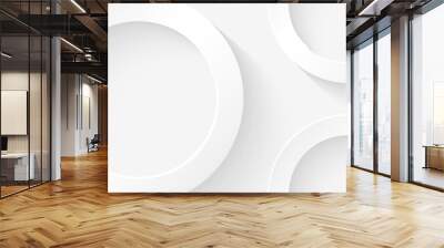 Modern minimal and clean white paper cut background with realistic circle shape . Elegant silver design for web, presentation, wallpaper Wall mural