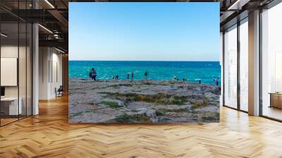 View of rocky coast and blue sea Wall mural