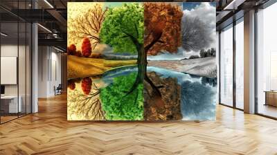 The four seasons in a tree reflected in the water of a lake. Concept of weather changing and cycle of nature in time. Wall mural