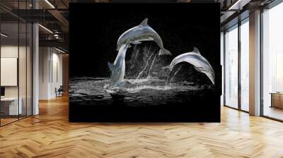 Three dolphins jumping in the water playing with each other. Isolated on black background with water in the background. Wall mural