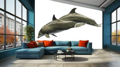 Two dolphins jumping together. Isolated on white background. Wall mural