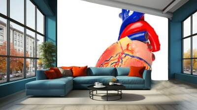 Front human heart model on white background Wall mural