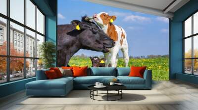 Mother cow and newborn calves in meadow Wall mural