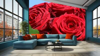 A Bouquet of wonderful red Roses closeup Wall mural