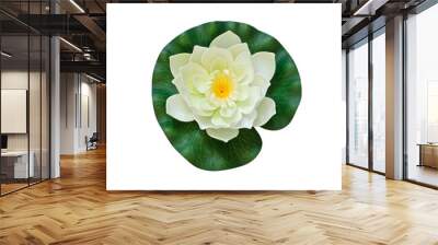 White artificial water lily on white background with working pat Wall mural