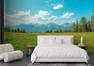 Beautiful Free Green Pasture Field in a Mountain Alps Landscape during Summer Wall mural