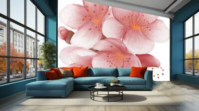 blossom sakura watercolor PNG paper Wall mural