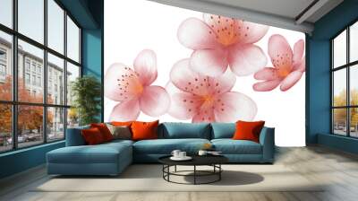 blossom sakura watercolor PNG paper Wall mural