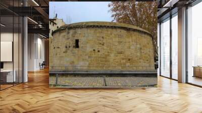 Muralla del Revellín, Logroño, España Wall mural