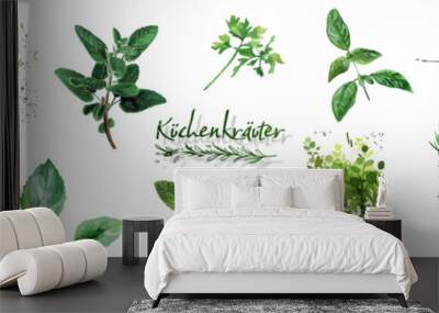 Culinary herbs - iconset of herbs and plants for cooking and seasoning dishes. Arugula, dill, basil, coriander and rosemary. Vectors for menu card, cooking classes or packaging design. Wall mural