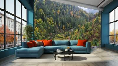 Autumn forest, in the Carpathian Mountains of Romania, Transylvania. Wall mural