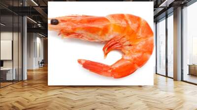 shrimp Wall mural