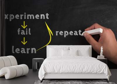 The words experiment, fail, learn and repeat are standing on a chalkboard, motivation concept, learning by doing Wall mural