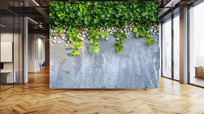 Grass, plants leafs and gravel concrete background. Decorative exterior concept for floor or wall pattern of gravel sandstone concrete texture with green grass and plant leafs abstract background.  Wall mural