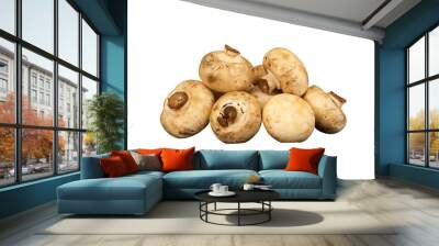 group of mushrooms isolated Wall mural