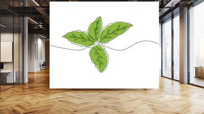 Continuous Line Art Illustration. Mint or Spearmint for organic Label Wall mural