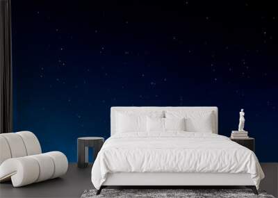 A starry night Wall mural