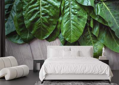 Swiss chard or mangold leafy vegetable green fresh leaves Wall mural