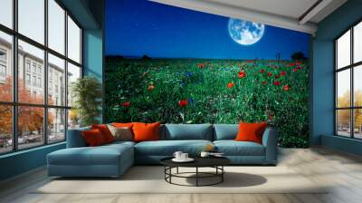 wild flower poppy field meadow at night with moon and stars Wall mural