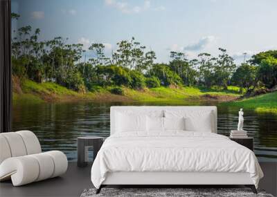 View of the beautiful Amazon rainforest and it's reflection at the river - Careiro, Amazonas, Brazil Wall mural