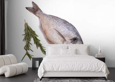 Raw gilthead fish with rosemary from above Wall mural