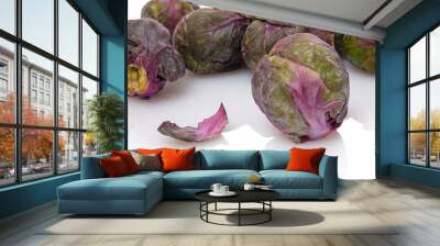 Rosenkohl violett Gruppe Wall mural