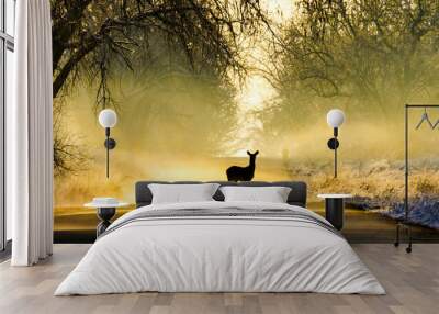 Sunrise - Fog - Deer Wall mural