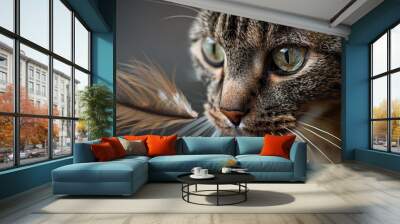 A close-up shot of a cat's curious face with wide green eyes focuses intently on a feather near its nose, capturing a moment of playful curiosity and wonder. Wall mural