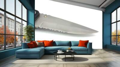 Pocket knife blade Wall mural