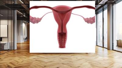 3d renderings of female reproductive system Wall mural