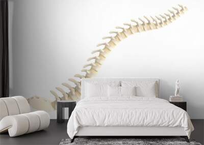 realistic 3d render of spine Wall mural