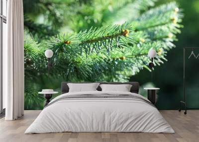 Xmas spruce tree branches forest nature background. Christmas festive holiday symbol evergreen tree with needles. Shallow depth of field. Wall mural