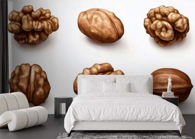 Set of delicious walnuts, featuring whole walnuts and halved shells revealing the nut inside, isolated on a white background. Wall mural