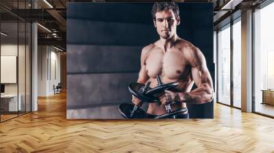 Strong handsome man with muscular fit and slim body posing with dumbbell. Wall mural