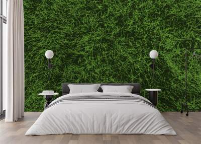 green grass texture background Wall mural