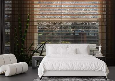 Blinds plant blossom window Wall mural