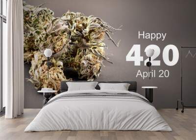 Happy 420 holiday with dried marijuana buds stock images. Dried marijuana buds with number 420 stock photo. Dried hemp leaves on a dark background images. Holiday 420 Poster, April 20. Important day Wall mural