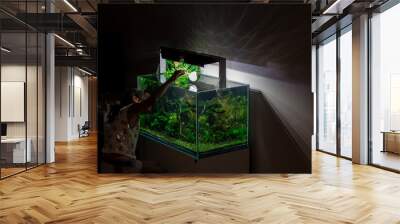 kid maintenance freshwater aquarium  at night Wall mural