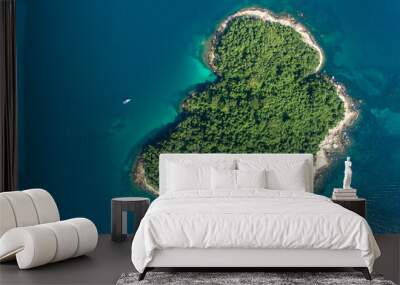 aerial view of a caribbean island Wall mural