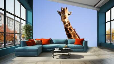 giraffe head  Wall mural