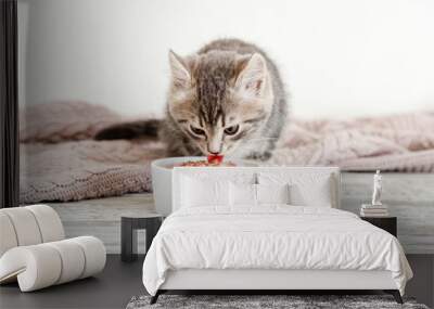 Tabby kitten eating food from white bowl on wooden floor. Baby cat eat junior food. Portrait of kitten while eating Wall mural