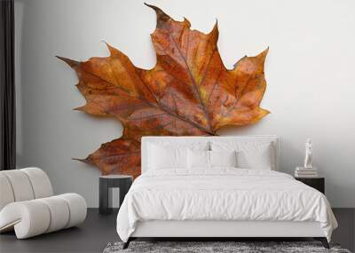 A single autumn leaf with intricate patterns, displaying various shades of brown, orange, and red. The simplicity and beauty of nature are highlighted. Wall mural