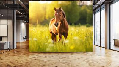 horse in the meadow Wall mural