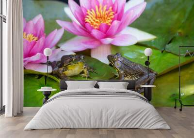 A frog sits on a green lilypad in a small pond under pink waterlilies. Wall mural