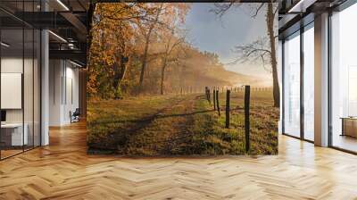 Fog rises from the creek in golden light at Cades Cove. Wall mural